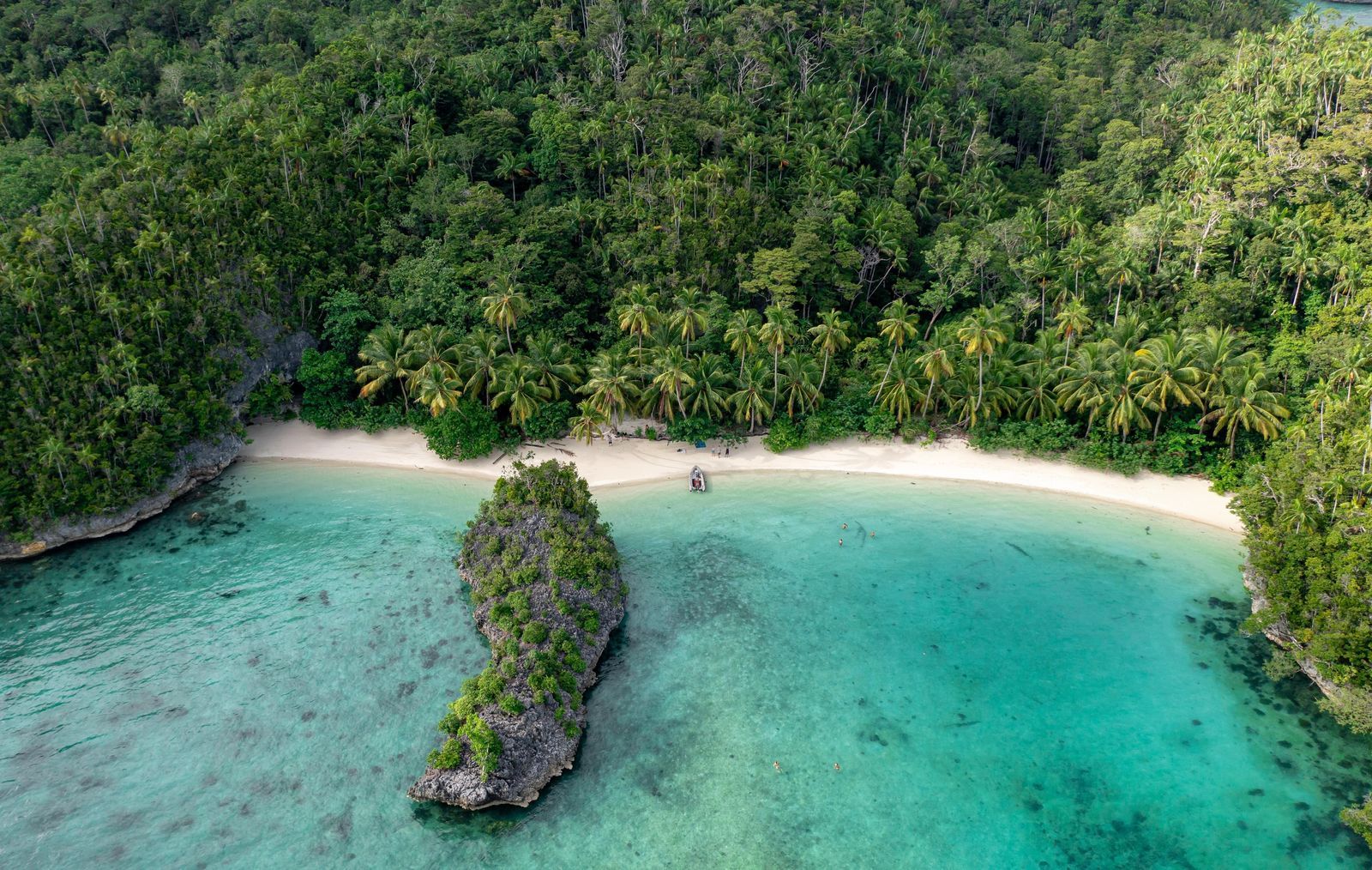 Aerial view of secluded tropical beach