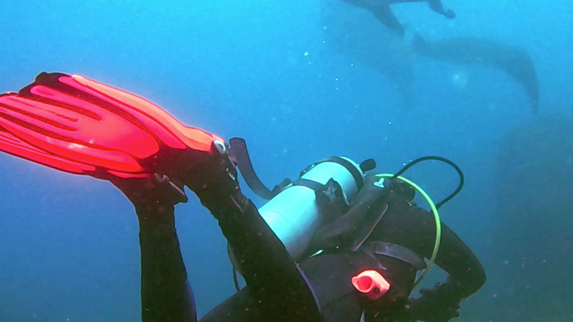 Vincent from Coralbound diving with clients in Indonesia waters observing manta ray mating train behavior underwater