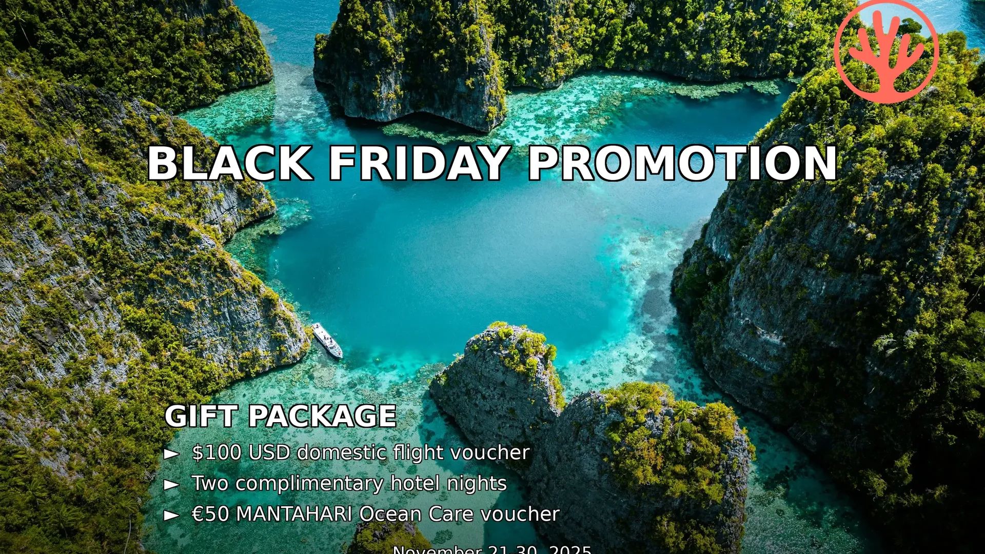 Black Friday Promo