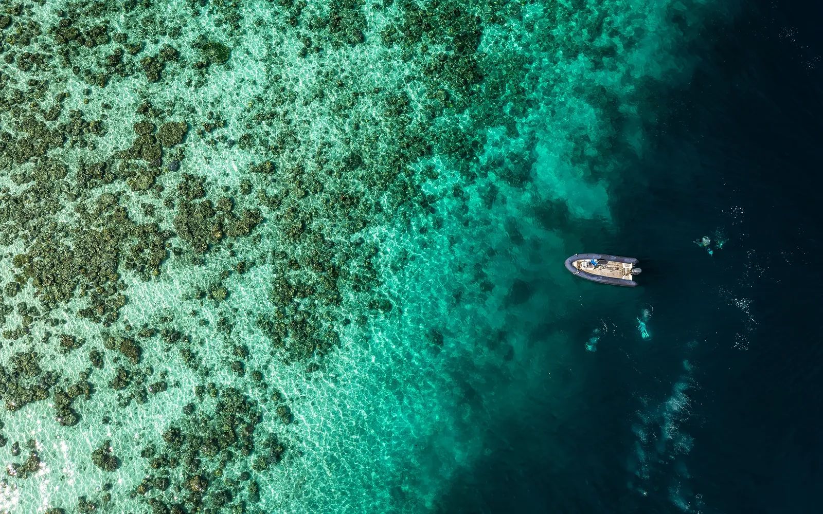 Reef Raja Ampat