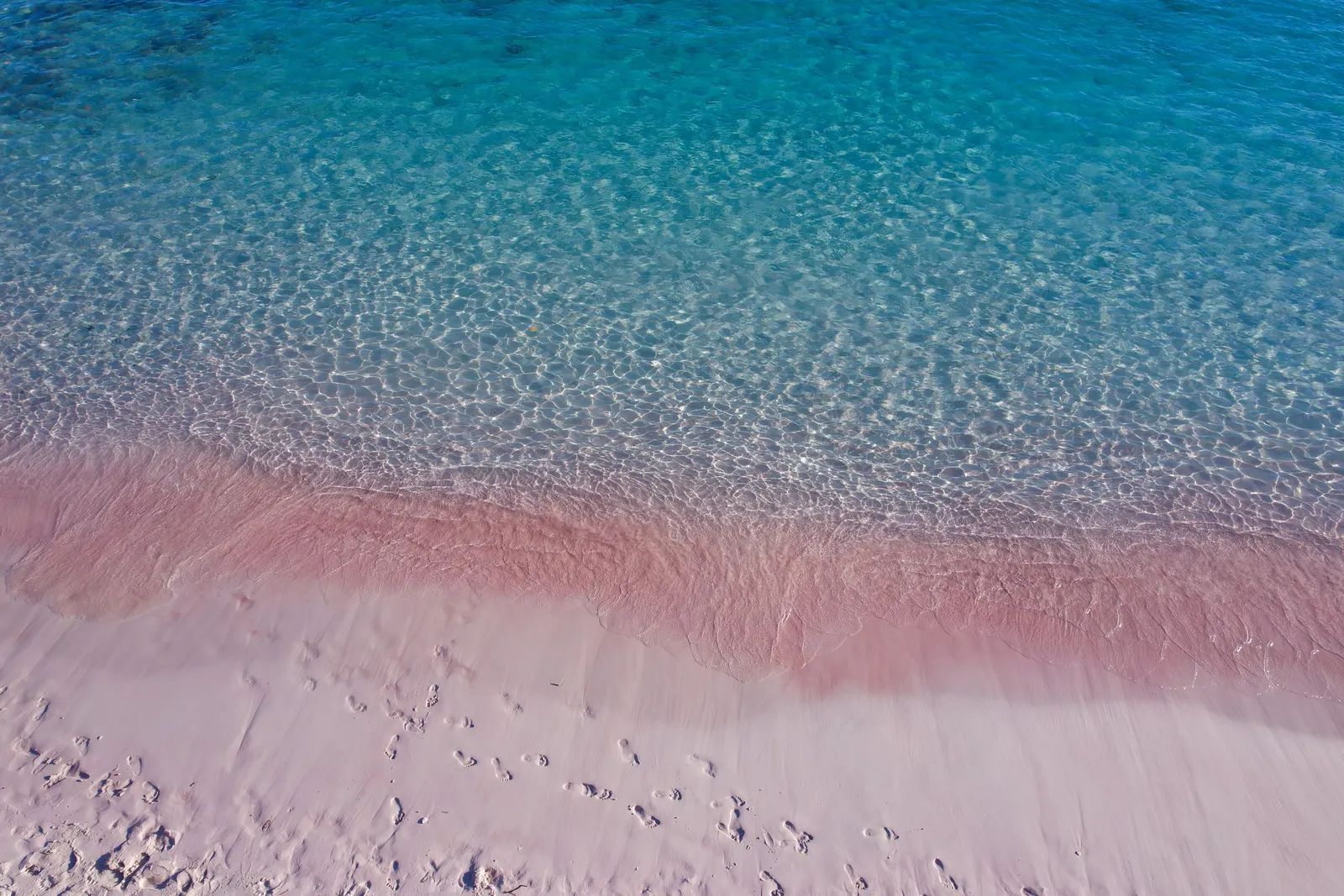 Pink Beach Komodo