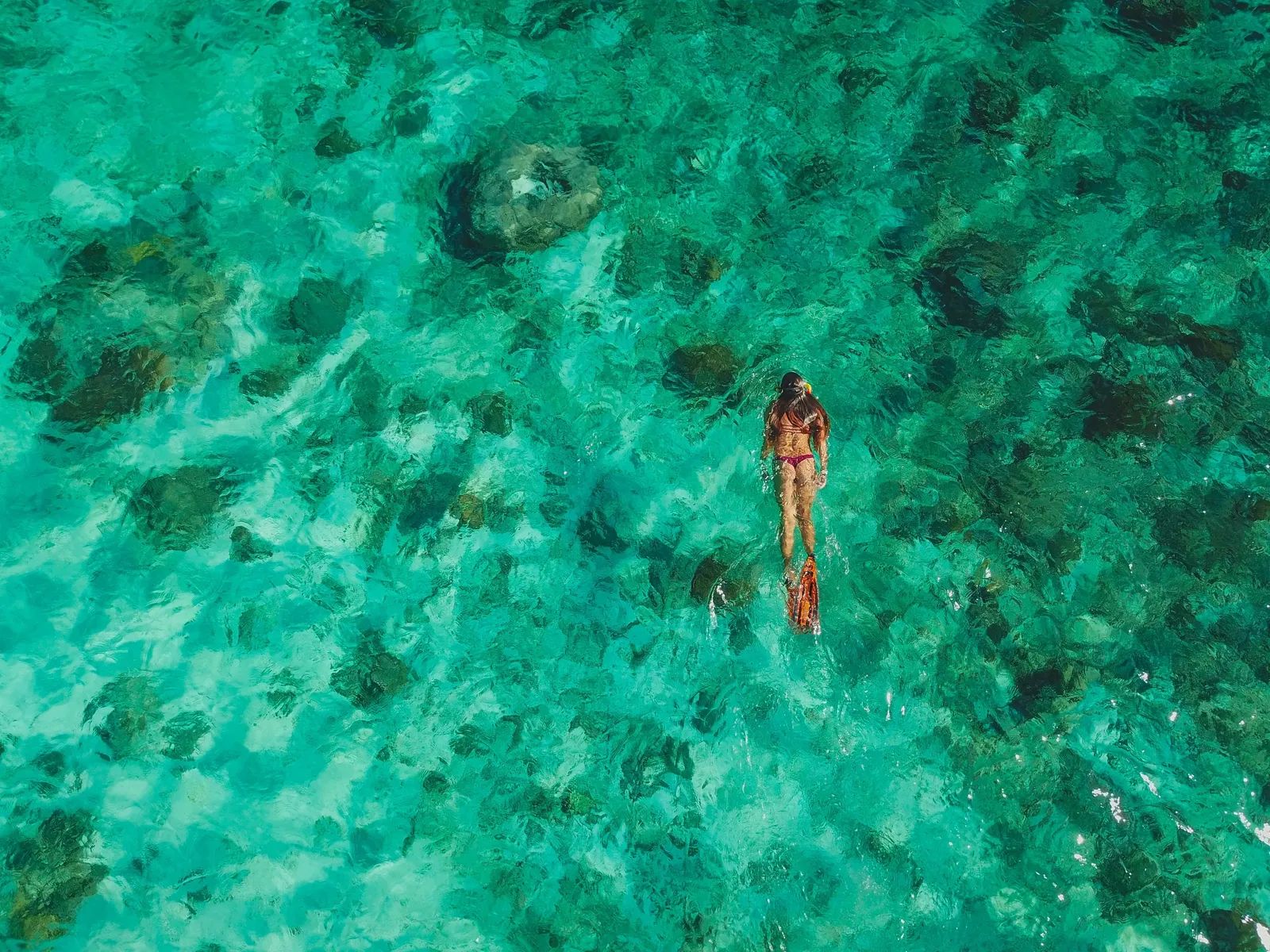 Aerial view of a snorkeler swimming over a shallow coral reef in clear turquoise water, wearing fins and a snorkel mask